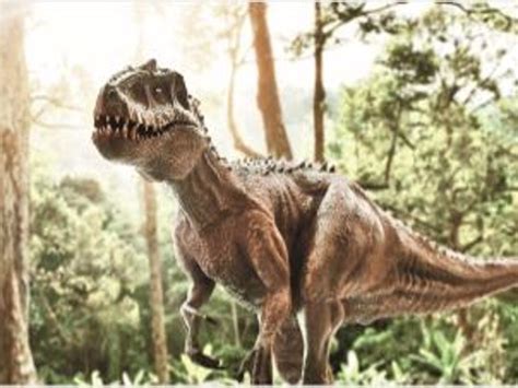 Can dinosaurs come alive? | સાયન્સ અફેર્સ: ડાયનાસોર જીવંત થઈ શકે ...