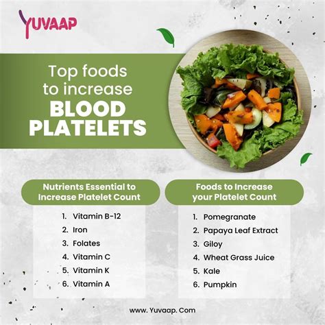 6 Best Foods To Increase Platelet Count | by Yuvaap Official | Medium