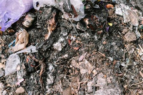 Biodegradable Waste Example 的图像结果