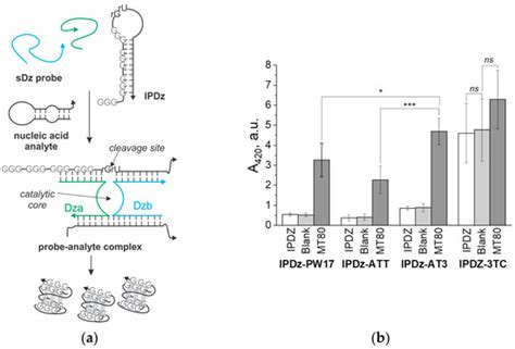 DNA | An Open Access Journal from MDPI
