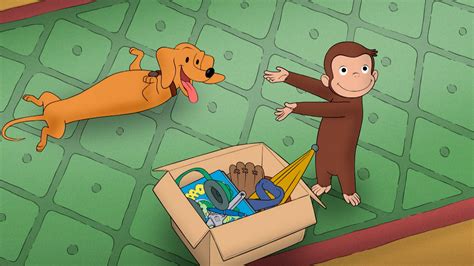 Hundley Curious George