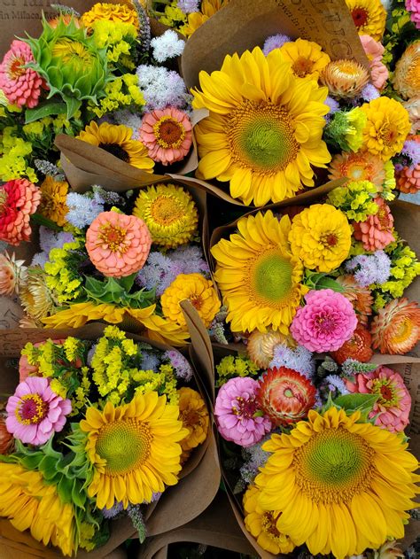 Find Our Flowers — Pluck Flower Farm