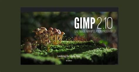 Computer Photo Software Free 的图像结果