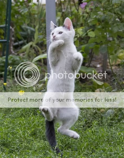 [archived] (20 - ) - Forums - MyAnimeList.net