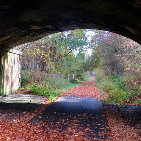 DUNFERMLINE TO ALLOA CYCLE ROUTE (2026) All You Need to Know BEFORE You ...