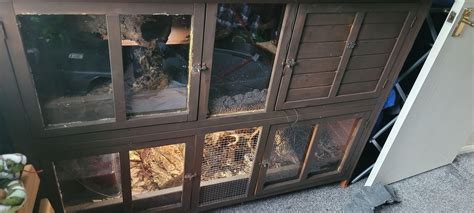 Image result for Sturdy Python Safe Plants