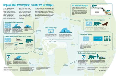 Arctic 的图像结果