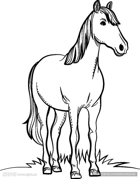 骏马简笔画 的图像结果