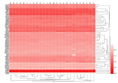Image result for Codon Bias