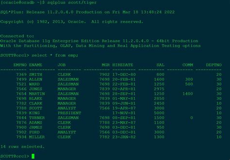 Oracle SQL*Plus Express Edition 的图像结果