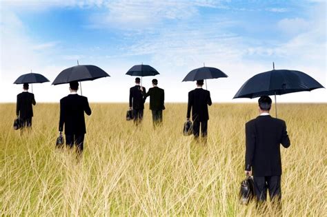 People Standing Viewing 的图像结果