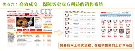腾飞中的郑州恒通鸽业-中国信鸽信息网相册
