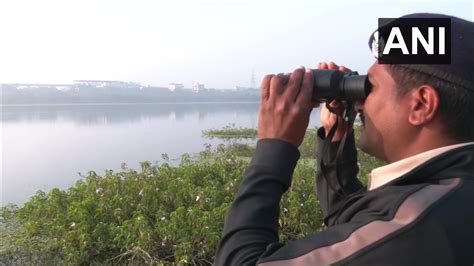 Nagpur: Annual Asian Waterbird Census underway, exotic birds spotted ...