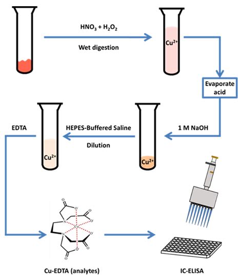 Development of an Immunoassay for the Detection of Copper Residues in ...