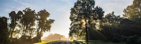Download wallpaper road, summer, fog, morning, section nature in ...