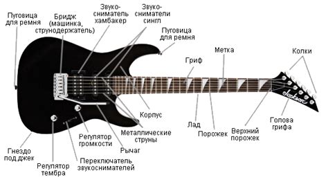 Статья о сравнении акустической и электрической гитар. Какую и как ...