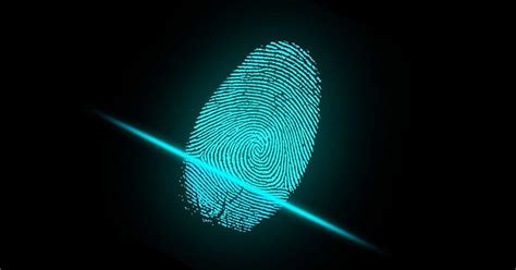 Image result for Computer Forensic Software Tools