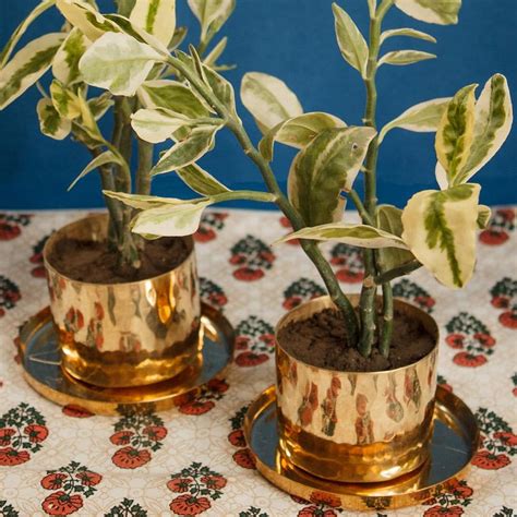 Shop Best Planter Sets Online | LBB