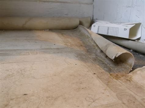 How To Seal Vinyl Asbestos Tile at Charles Lindquist blog