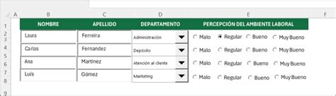 Image result for Excel Formulario Con Diseno Predefinido