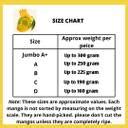 Dhanshe's Farm Ratnagiri Alphonso Mango Size C(12 Pieces) Mango Price ...