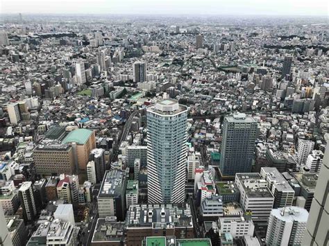 Top 15 Things to do in Tokyo in December - Sightseeing Shar