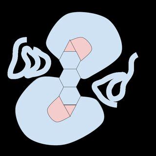 Clockwise vs Counterclockwise Rotation 的图像结果