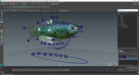 Tropical Gourami Fish Rigged for Maya 3D | 3D Molier International