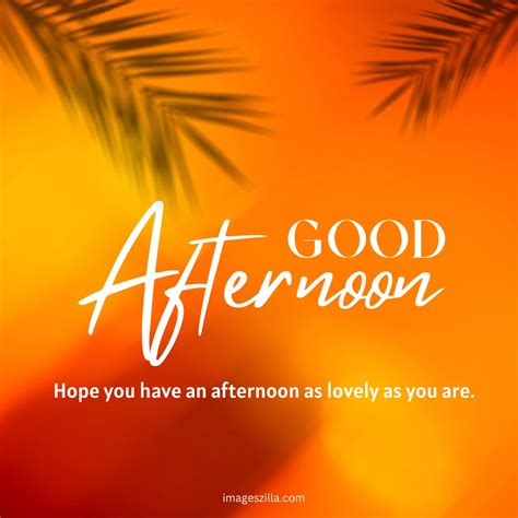 25+ Best Good Afternoon Images, Wishes And Quotes - Imageszilla