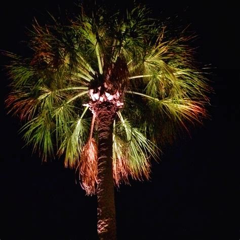 Indian Rocks Beach, FL Vacation Rentals: house rentals & more | Vrbo