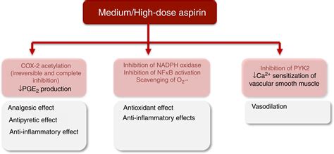 Aspirin And Hypertension at Clara Garber blog