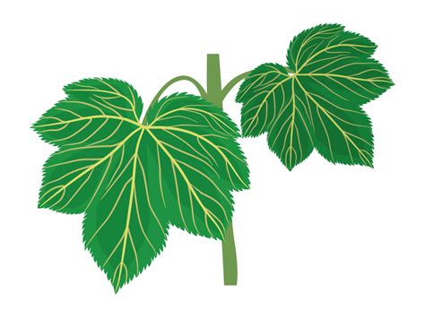 NCERT Exempler XVII — task. Science CBSE, Class 8.