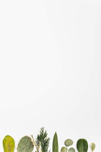 Image result for Picture without Text High Quality