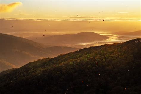 CE5 Experience 的图像结果