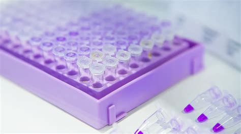 Image result for PCR Machine Operting Procedure