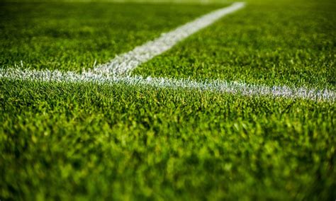 Sports Fields 的图像结果