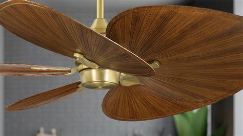 Unique Ceiling Fans Residential