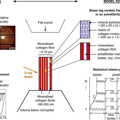 Image result for Elasto Plactic Graph