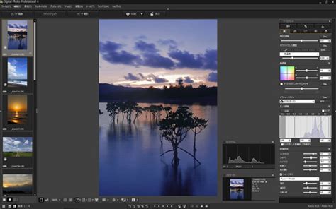 Image result for Canon Pro Software