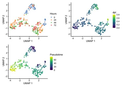 Diffusion Maps Pseudo-Time 的图像结果