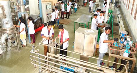 Karunya Institute of Technology and Sciences.