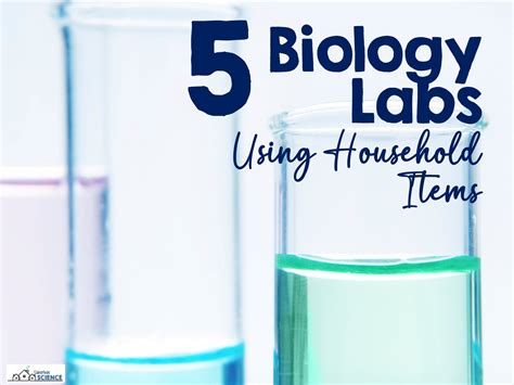 5 Biology Labs You Can Do with Household Items - Suburban Science