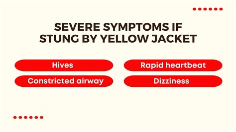 Yellow Jacket Control - Easy Pest Control