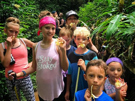 KAUAI HIKING TOURS (2026) All You Need to Know BEFORE You Go (with ...