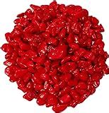 DS Multi-colored Pebbles/Gravels/Stone, 475g: Amazon.in: Garden & Outdoors