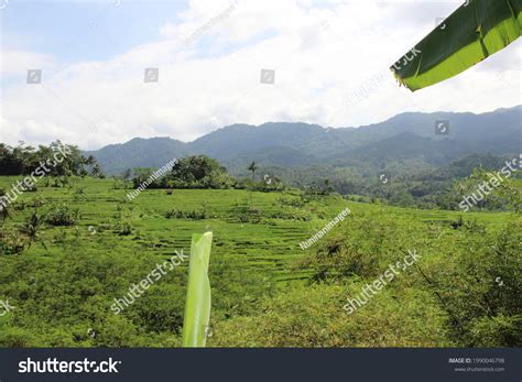 Countryside 的图像结果