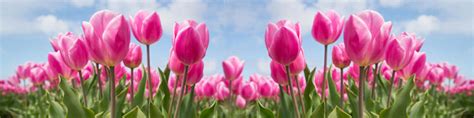 Image result for Classical Music for Spring