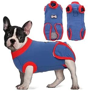 Dog Recovery Suit after Surgery Wear, Soft Male Female Pet Medical ...
