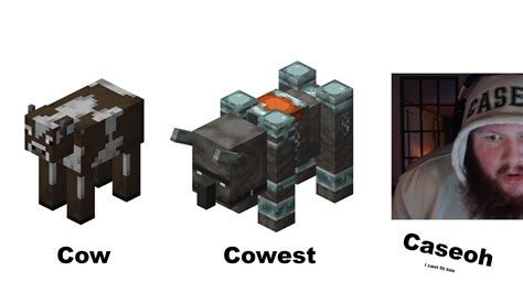 Image result for Caseoh Minecraft Mod