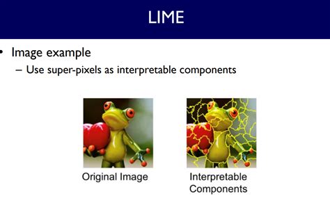 Xai Method Icon 的图像结果